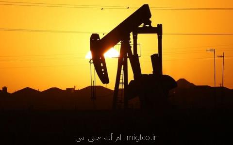قیمت سبد نفتی اوپك اندكی افزایش یافت