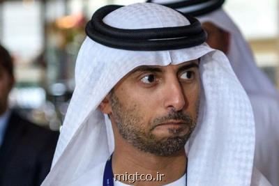 امارات خواهان پایبندی كامل به توافق اوپك پلاس شد