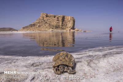 پیش بینی بالاترین میزان بارش هفته در حوضه آبریز دریاچه ارومیه
