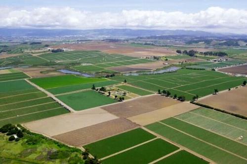 ناکارآمدی قوانین یکپارچه سازی اراضی برای کاهش مصرف آب کشاورزی