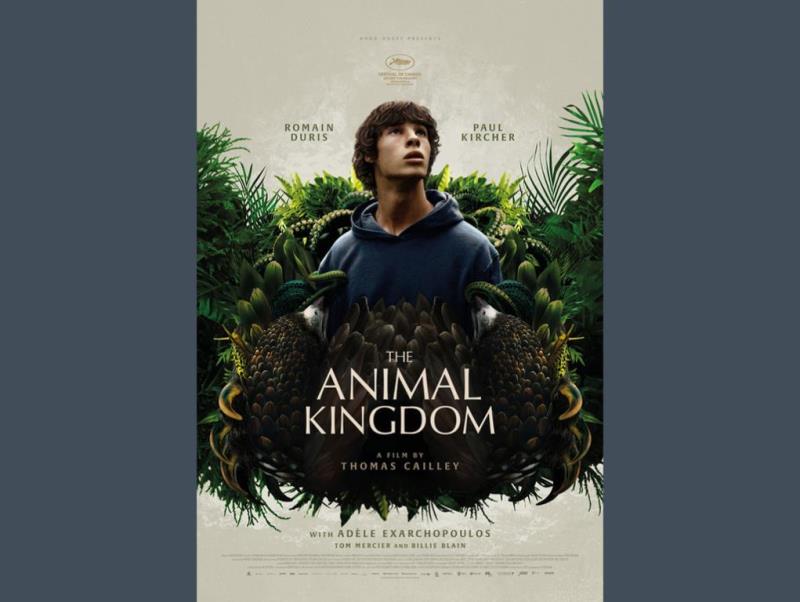 نقد فیلم قلمرو حیوانات (The Animal Kingdom)