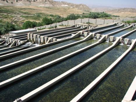 امکان تحویل ۱۰۰میلیون متر مکعب پساب در بورس وجود دارد