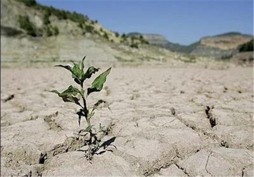 تشدید بحران آب و افزایش ریسک فرونشست زمین