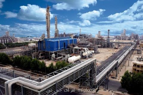 حمایت گلخانه ای دولت رانمی خواهیم، دامپینگ خارجی ها در بازار ایران
