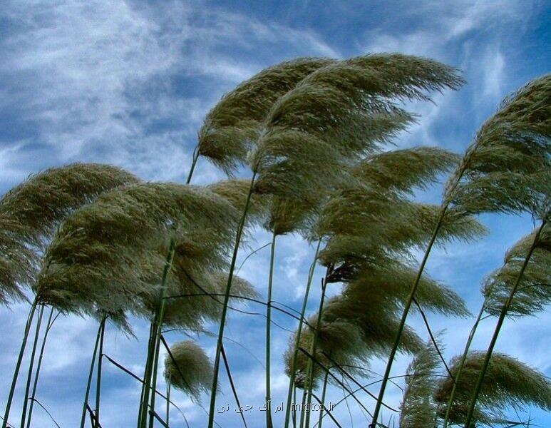 یخبندان و وزش باد شدید در بعضی نقاط كشور