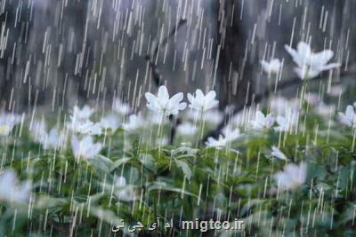 48 و چهار دهم میلی متر میانگین بارش استان تهران