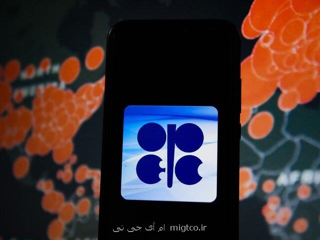 اوپك پلاس باید مراقب سهمش در بازار نفت باشد
